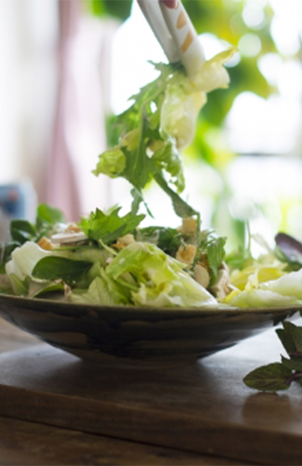 食べることが、社会と地球への<br />
小さな貢献になる